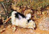 Dead Canvas Paintings - John Ruskin's dead chick